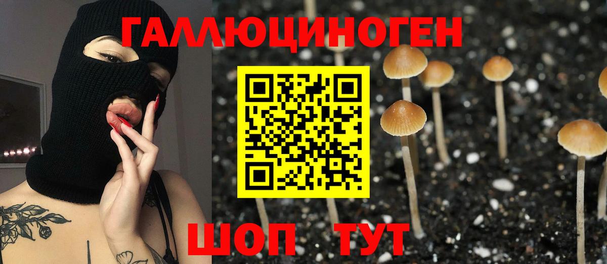 Псилоцибиновые грибы ЛСД  Вход с VPN  Амурск 
